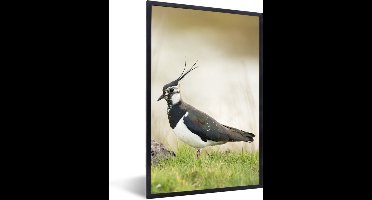 PosterMonkey - Poster - Fotolijst - Vogel - Gras - Landschap - Dieren - 80x120 cm - Posterlijst - Poster vogels - Foto met lijst - Poster dieren - Posters - Frame
