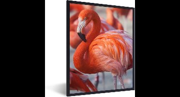 PosterMonkey - Poster - Flamingo - Vogel - Dieren - Roze - Fotolijst - 30x40 cm - Poster flamingo - Posterlijst - Frame poster - Poster dieren - Woonkamer