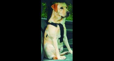 Beeztees Wandel- en Autogordel - Hondentuig - M