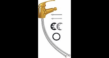 vidaXL - Bidetkraan - 13x12 - cm - goudkleurig