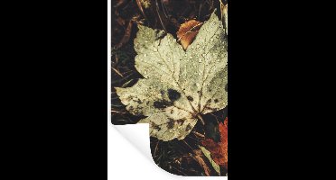 Muurstickers - Sticker Folie - Herfstbladeren - Herfst - Seizoenen - Natuur - 20x30 cm - Plakfolie - Muurstickers Kinderkamer - Zelfklevend Behang - Zelfklevend behangpapier - Stickerfolie