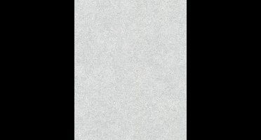 Betonlook - Behang - Industrieel - Vliesbehang - Vintage Deluxe - 0,53 x 10,05 M.