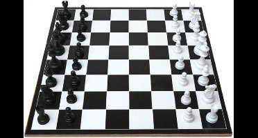 Reisspellen/bordspellen 2-in-1 set van schaken en erger je niet 35 x 30 cm