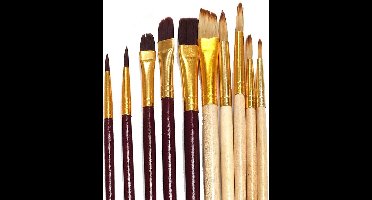 Nassau Professionele Kwasten 10 Stuks