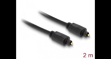 Delock - Optische Toslink Kabel - 2 meter
