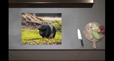 Inductieplaat Beschermer - Dikke Zwarte Big in het Grasveld - 60x52 cm - 2 mm Dik - Inductie Beschermer van Vinyl