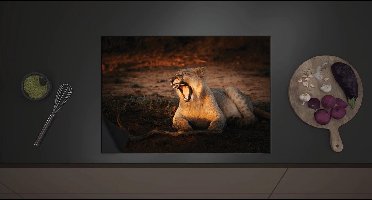 Inductieplaat Beschermer - Gapende Vrouwtjes leeuw bij Takken - 70x52 cm - 2 mm Dik - Inductie Beschermer met zwarte kern