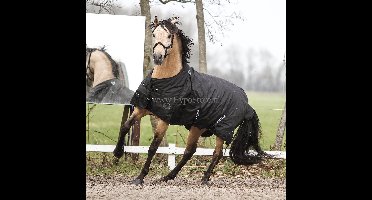 MASTER Winterdeken metallic black 300g - 95 / 145