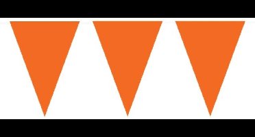 Vlaggenlijn oranje 20 puntenks