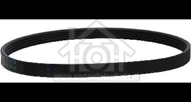 Bosch Snaar 5PHE 330 WT34V100, WT36V300, WT44E100 00600151