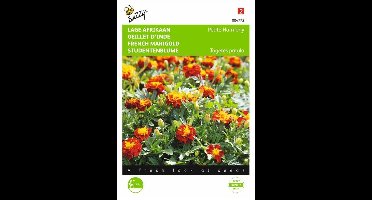 Lage Afrikaan Petite Harmony - Tagetes patula nana