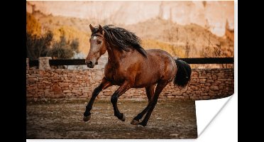 Poster Paard - Bruin - Steen - 30x20 cm