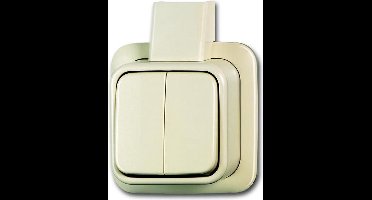 Standaard Opbouwschakelaar ABB Busch-Jaeger - 2CKA001042A1011 - E2MF7