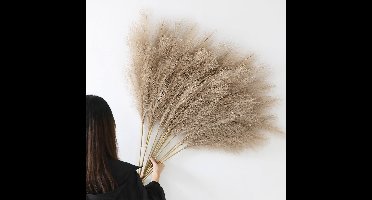 Boraboi ® Exclusieve Set van 12 Luxe Kunst-Pampasgrassen voor Stijlvolle Interieurdecoratie