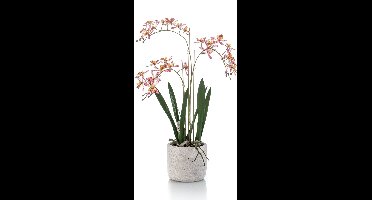 Emerald - Kunstplant Orchidee in pot 56cm roze - Kunstplant voor binnen