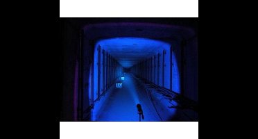 Olight Blue filter voor M30 serie