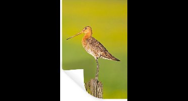Muurstickers - Sticker Folie - Vogel - Dieren - Grutto - Paal - Groen - 20x30 cm - Plakfolie - Muurstickers Kinderkamer - Zelfklevend Behang - Zelfklevend behangpapier - Stickerfolie