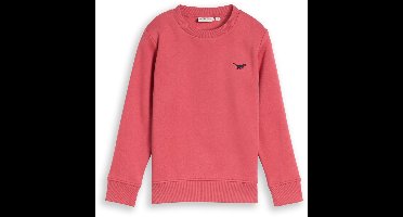 Tom Tailor - Sweatshirt met dinosaurusborduursel - Maat 92/98 - Berry Red