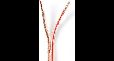 Nedis CABR4000TR500 Speaker-kabel 2x 4,00 Mm2 50,0 M Op Rol Transparant