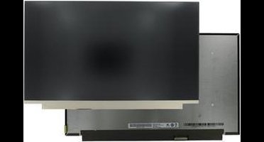 15.6 Inch LCD Scherm 1920x1080 Mat 40Pin, IPS, 144Hz