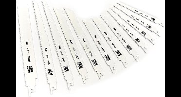 HBM 12 Delige Bi-Metaal Reciprozaagbladenset