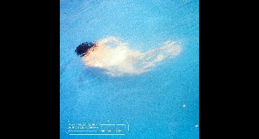 You Know Im Not Going Anywhere