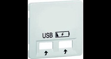 Honeywell Peha Standaard Inzetschakelbord Plaat - 00239033 - E34RZ