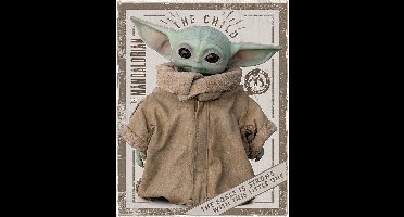Star Wars: The Mandalorian The Child Mini Poster