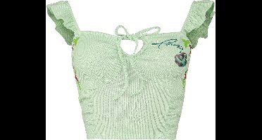 Batman Poison Ivy Dames Top - lichtgroen - XXL