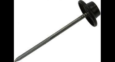 Mack Golfplaatnagel 100 st 1.7 x 65 mm