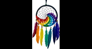 Dromenvanger wave regenboog / zwart 22 cm
