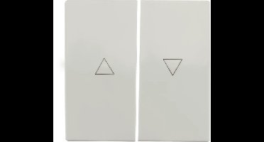 ION industries bedieningswip jaloezieschakelaar - V1/J1 alpin wit mat (20.300.215)