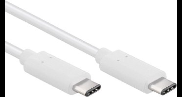 USB-C Kabel - USB 2.0 - 100W PD - 2 meter - Wit