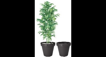 Pro Garden Bloempot - 2x - antraciet - rond - D50 cm - kunststof - plantenpot - tuin buiten