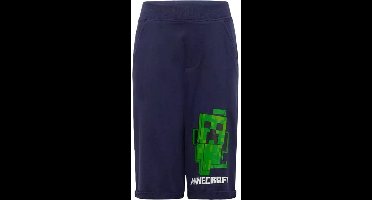 Minecraft children's shorts 9 years