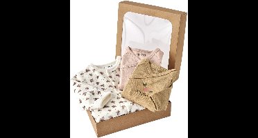 Vertbaudet Babyset - 3 delig - babypakje - 2 rompers