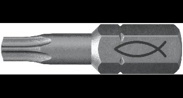 Fischer 10x ProfiBit FPB T 20 - 557847