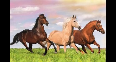 Trefl Mini Puzzel 54 Stuks - Paarden Wereld