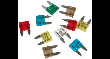 Lampa Mini Zekeringen Motor Scooter Auto 7,5A-30A 10 Stuks