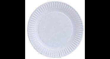 Daily Style – Kartonnen wegwerp borden – Wit – 23 cm – 20 stuks – Wegwerpservies