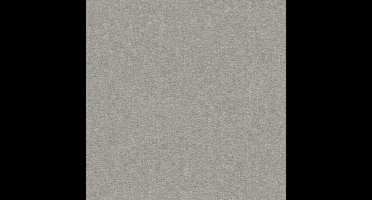 SATIJN GLANZEND BEHANG | Design - zilver grijs - A.S. Création Versace 5