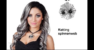 Ketting Spinnenweb met 2 spinnen - Halloween spin Creepy thema feest festival griezel horror feest