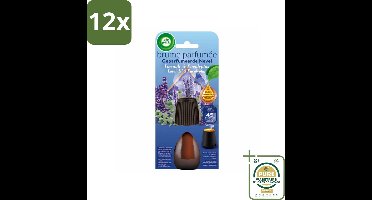 Air Wick - Essential Mist - Navulling - Innerlijke Rust - Luchtverfrisser - Voordeelverpakking - 12 stuks - Aromatherapie - Essentiële oliën