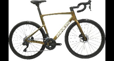 Rinos Odin6.0 Carbon Road - Racefiets - met UCI Frameset - met SHIMANO Di2 - 24 versnellingen en schijfremmen - lichte fiets voor dames en heren - 700 x 40C -Kameleon Goud Groen L