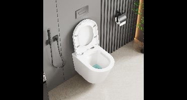 Wandtoilet – Hangend Toilet – Rimless Toilet – Diepspoel Toilet – Wandhangend Toilet – Keramiek – Softclose Zitting – Ruimtebesparend D-Design 51cm