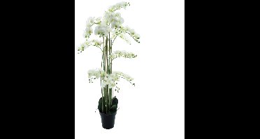 Kunst Phalaenopsis Orchidee In Pot 140 cm - Wit
