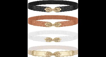 WERFORU Women Thin Tassels Braided Waist Belt, Thin Woven Belt Waist Band for Skirt Dress