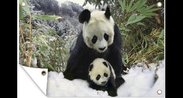 Tuinposter - Tuindoek - Tuinposters buiten - Panda - Welp - Sneeuw - 120x80 cm - Tuin