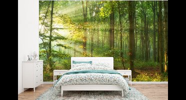 Behang - Fotobehang Zon - Bos - Bomen - Natuur - Herfst - Breedte 400 cm x hoogte 300 cm