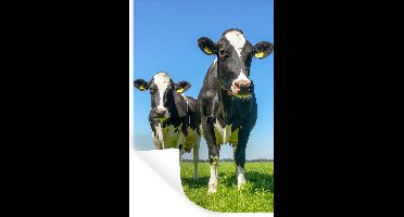 Muurstickers - Sticker Folie - Koeien - Weiland - Gras - Dieren - Boerderij - 20x30 cm - Plakfolie - Muurstickers Kinderkamer - Zelfklevend Behang - Zelfklevend behangpapier - Stickerfolie